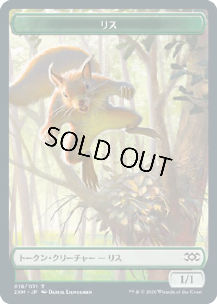 画像1: リス トークン/Squirrel Token (2XM) (1)