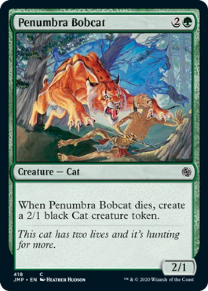 画像1: 暗影のボブキャット/Penumbra Bobcat (JMP) (1)