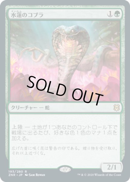 画像1: 水蓮のコブラ/Lotus Cobra (ZNR) (1)