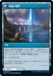 画像2: 海門修復/Sea Gate Restoration (ZNR)《Foil》 (2)