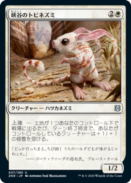 画像1: 峡谷のトビネズミ/Canyon Jerboa (ZNR)《Foil》 (1)