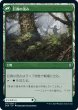 画像2: 巨森の補強/Vastwood Fortification (ZNR)《Foil》 (2)