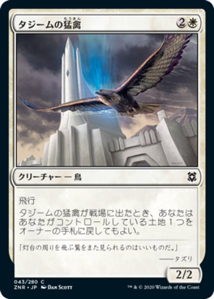 画像1: タジームの猛禽/Tazeem Raptor (ZNR)《Foil》 (1)