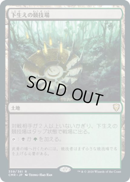 画像1: 下生えの競技場/Undergrowth Stadium (CMR) (1)