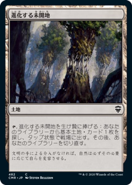 画像1: 進化する未開地/Evolving Wilds (CMR)【統率者デッキ】 (1)