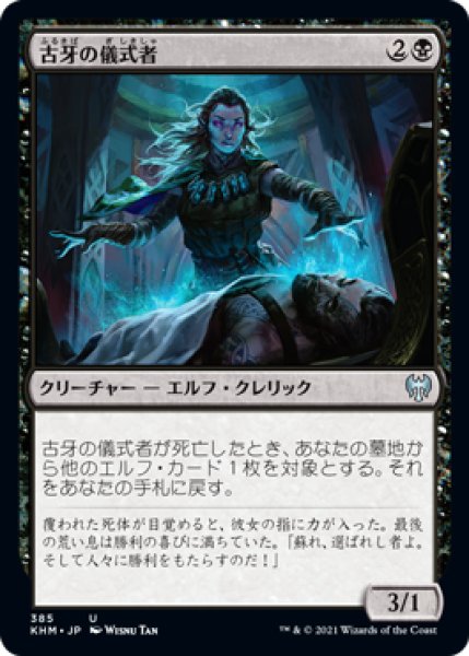 画像1: 古牙の儀式者/Elderfang Ritualist (KHM) (1)