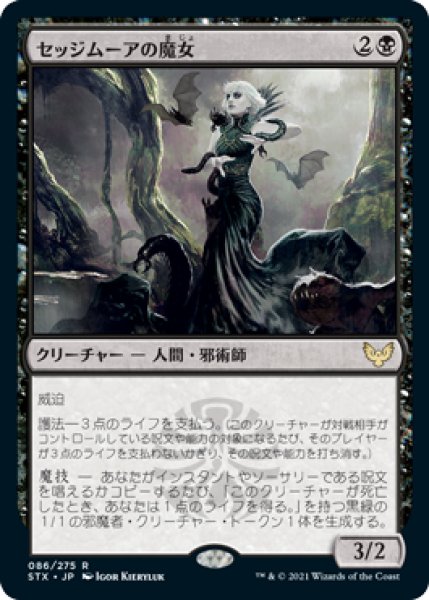 画像1: セッジムーアの魔女/Sedgemoor Witch (STX)《Foil》 (1)