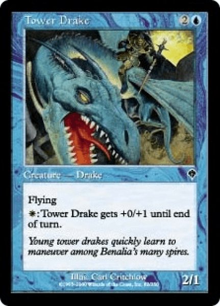 画像1: 塔のドレイク/Tower Drake (INV) (1)