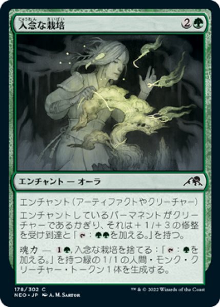 画像1: 入念な栽培/Careful Cultivation (NEO)《Foil》 (1)