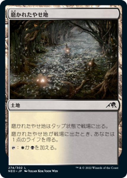 画像1: 磨かれたやせ地/Scoured Barrens (NEO)《Foil》 (1)