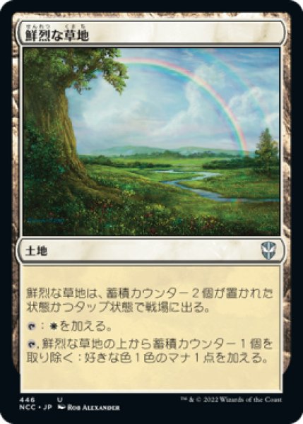 画像1: 鮮烈な草地/Vivid Meadow (NCC) (1)