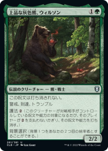 画像1: 上品な灰色熊、ウィルソン/Wilson, Refined Grizzly (CLB) (1)