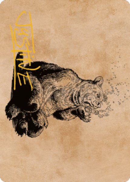 画像1: 【イラストコレクション：箔無し】 上品な灰色熊、ウィルソン/Wilson, Refined Grizzly 【60/81】 (CLB) (1)