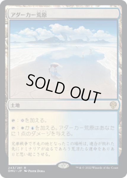 画像1: アダーカー荒原/Adarkar Wastes (DMU)《Foil》 (1)