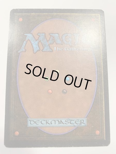 画像2: Library of Alexandria (ARN)  【PLD】　 (2)