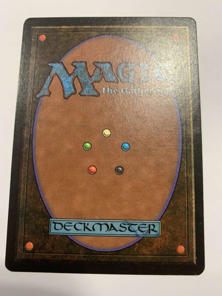 画像2: Scrubland　(LEB)   【EX-】　C (2)