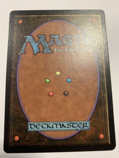 画像2: Taiga (LEB)   【NM~NM-】 A (2)