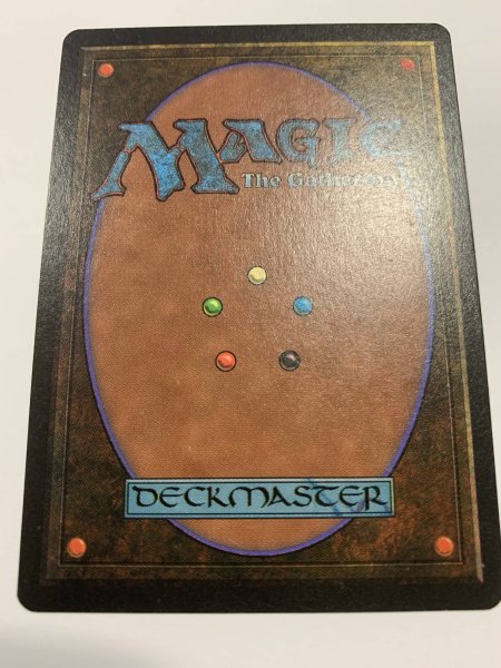 画像2: Scrubland (LEB)   【NM~NM-】 B (2)