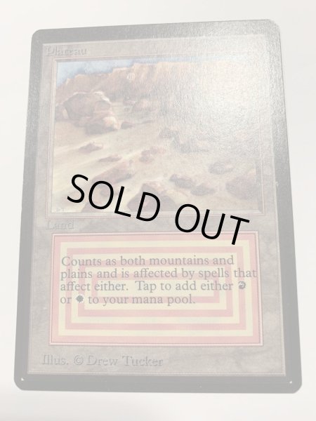 画像1: Plateau (LEB)   【NM~NM-】　A (1)