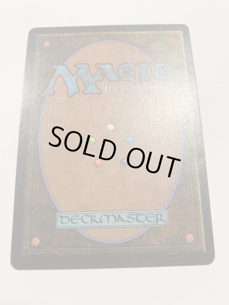 画像2: Savannah (LEB)   【PLD】 C (2)