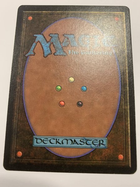 画像2: Bayou  (LEB)   【EX-】 C (2)