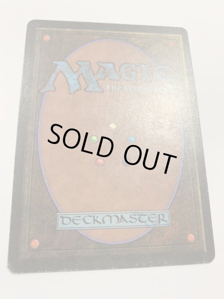 画像2: Tundra　 (LEB)   【PLD】　D (2)