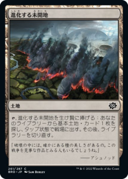 画像1: 進化する未開地/Evolving Wilds (BRO)《Foil》 (1)