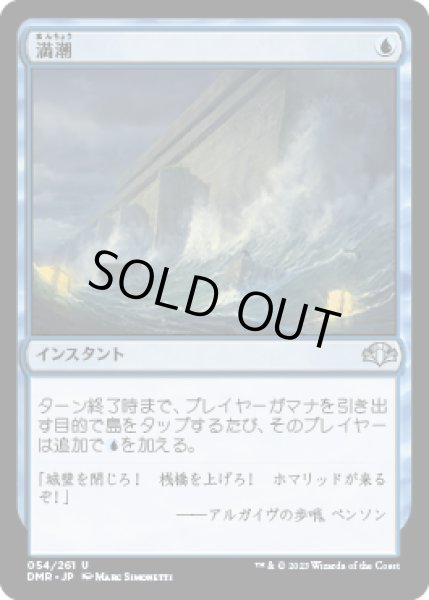 画像1: 満潮/High Tide (DMR) (1)