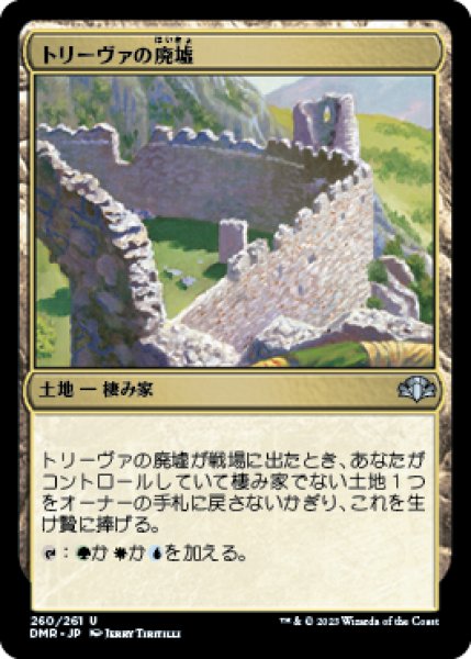 画像1: トリーヴァの廃墟/Treva's Ruins (DMR) (1)