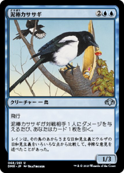 画像1: 泥棒カササギ/Thieving Magpie (DMR) (1)