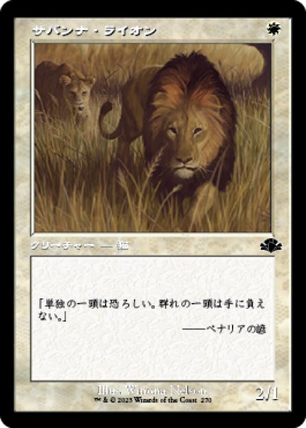 画像1: サバンナ・ライオン/Savannah Lions (DMR)【旧枠版】 (1)