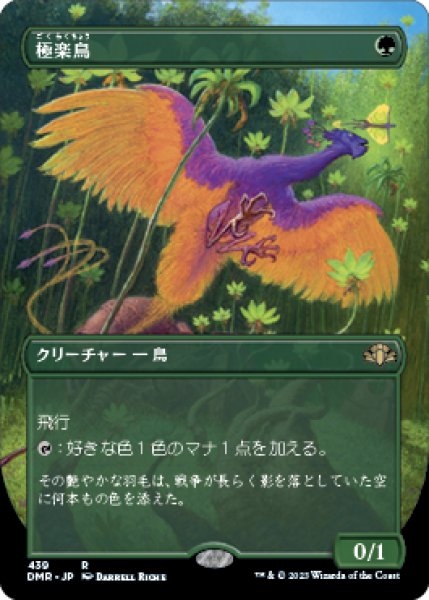 画像1: 極楽鳥/Birds of Paradise (DMR)【拡張アート版】 (1)