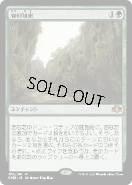 画像1: 森の知恵/Sylvan Library (DMR)《Foil》 (1)