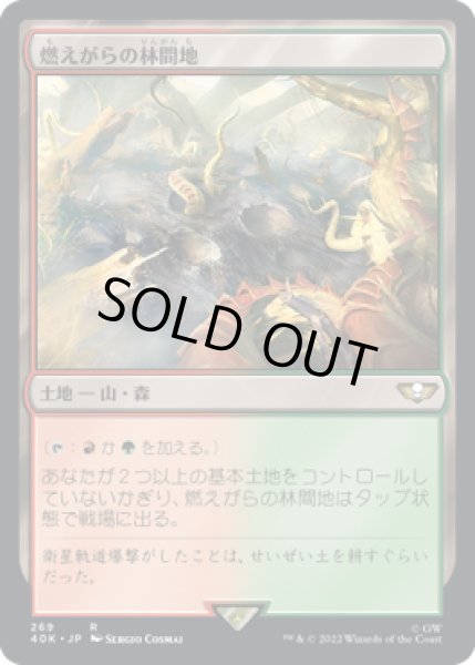 画像1: 燃えがらの林間地/Cinder Glade (40K) (1)