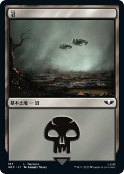 画像1: 沼/Swamp 【No.313】 (40K) (1)