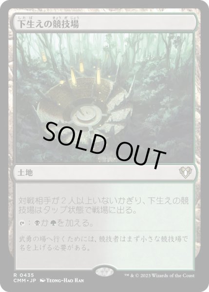 画像1: 下生えの競技場/Undergrowth Stadium (CMM) (1)