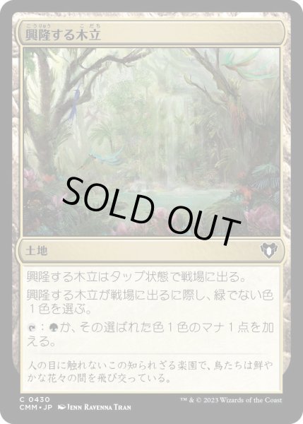 画像1: 興隆する木立/Thriving Grove (CMM)《Foil》 (1)