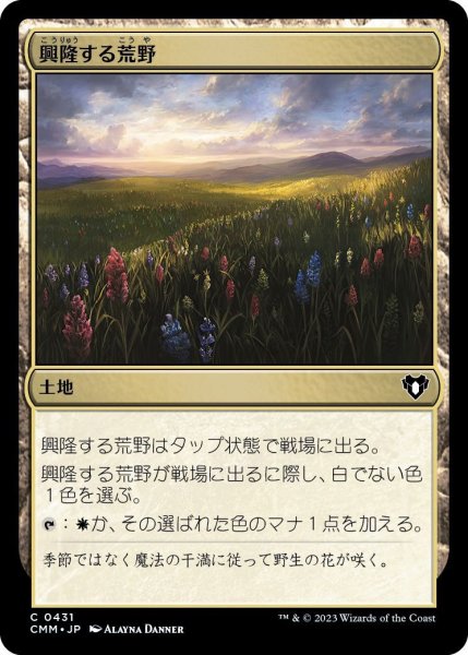 画像1: 興隆する荒野/Thriving Heath (CMM) (1)