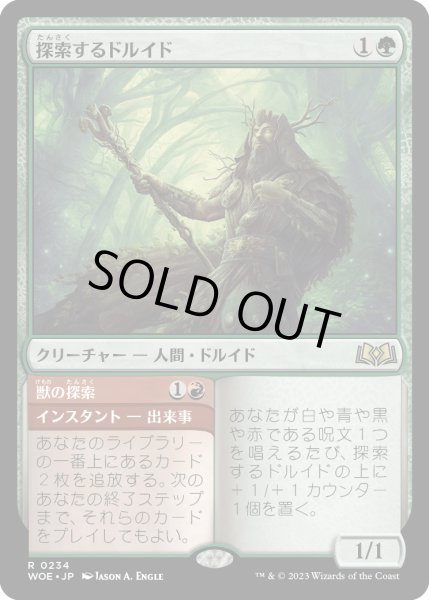 画像1: 探索するドルイド/Questing Druid (WOE)《Foil》 (1)