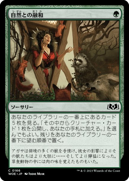 画像1: 自然との融和/Commune with Nature (WOE) (1)