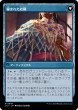 画像2: 編まれた網/Braided Net (LCI)《Foil》 (2)