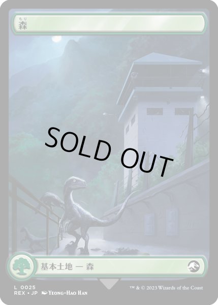 画像2: 森/Forest (REX) (2)