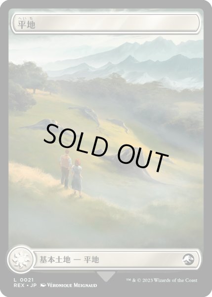 画像2: 平地/Plains (REX) (2)