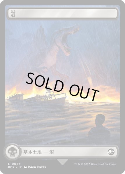 画像2: 沼/Swamp (REX) (2)