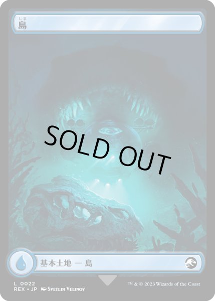 画像2: 島/Island (REX) (2)