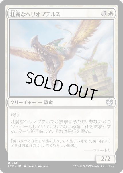画像1: 壮麗なヘリオプテルス/Majestic Heliopterus (LCC) (1)