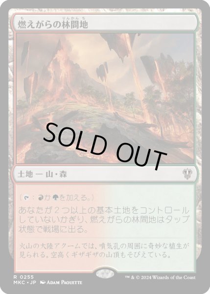 画像1: 燃えがらの林間地/Cinder Glade (MKC) (1)