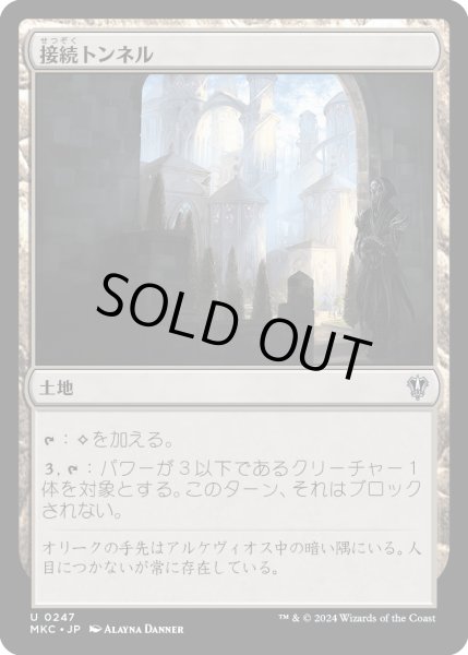 画像1: 接続トンネル/Access Tunnel (MKC) (1)