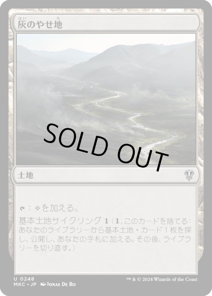 画像1: 灰のやせ地/Ash Barrens (MKC) (1)
