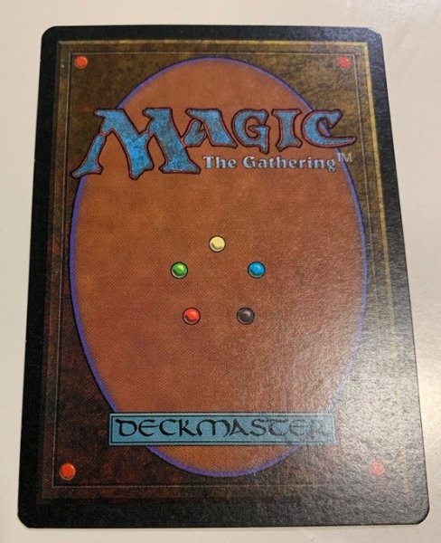 画像2: Bayou (3ED) 【NM-~EX+】 (2)